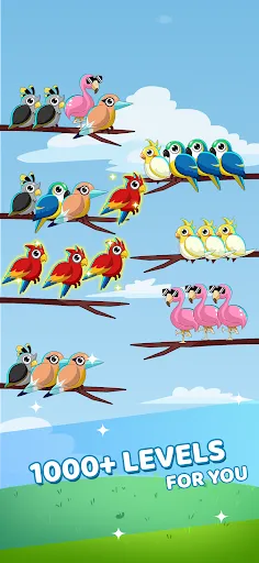 Sort the Birds: Color Sort | Games | XWorld