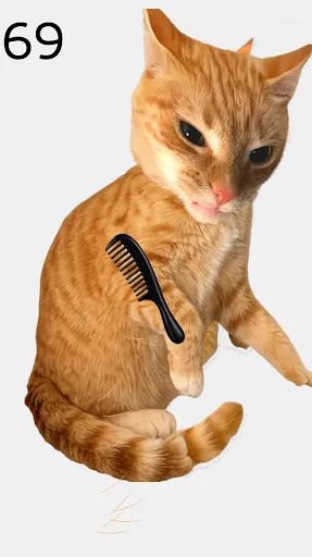 Brush The Cat | Игры | XWorld Brush The Cat | Игры | XWorld