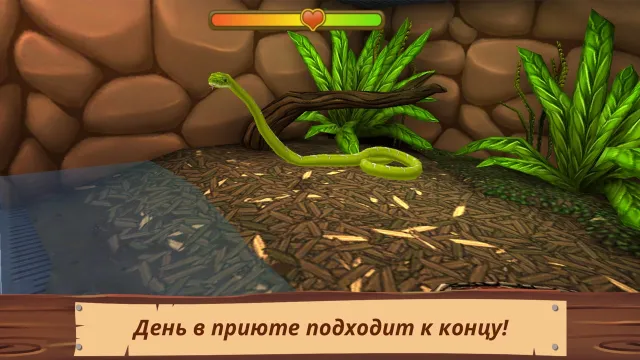 Pet World Премиум | Игры | XWorld