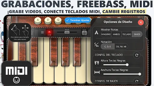 Acordeón Teclas Cassoto Piano | juego | XWorld