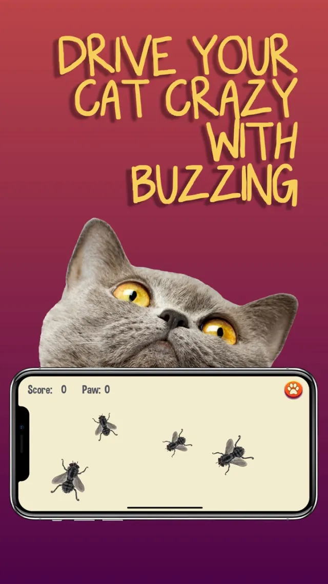 Permainan untuk kucing | Permainan | XWorld