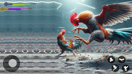 Rooster Fighting Kung Fu Games | เกม | XWorld