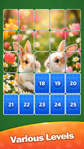 Solitaire Jigsaw : Card Puzzle | เกม | XWorld