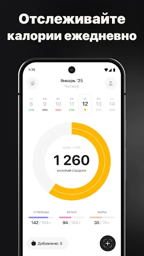 Calz: Счетчик калорий по фото | Игры | XWorld