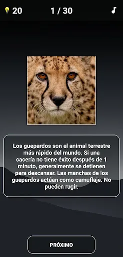 Quiz de animales | juego | XWorld