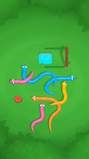 Snake Knot: Câu đố về con rắn | Games | XWorld