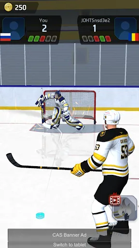 Hockey Game Stars 3D | Games | XWorld