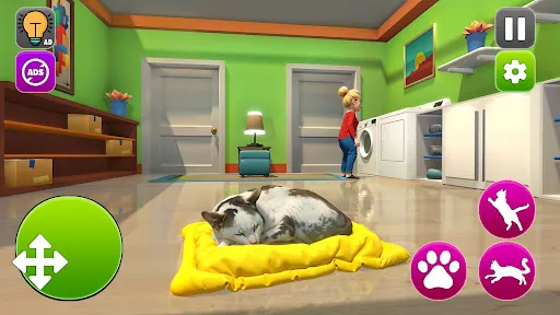 Cat Chaos Pranks Gran vs Kitty | เกม | XWorld