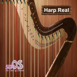 XWorld | Harp Real