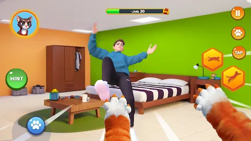 Pet Cat Simulator Cat Games | Игры | XWorld