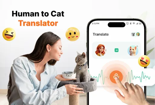 Human to Cat Translator | Games | XWorld