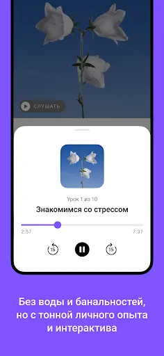 Учебник: курсы про деньги | Игры | XWorld