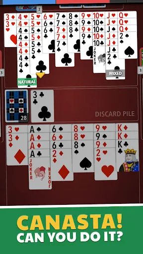 Canasta Turbo Jogatina: Cards | Games | XWorld Canasta Turbo Jogatina: Cards | Games | XWorld