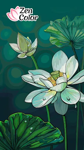 Zen Color - Colorir Por Número | Jogos | XWorld