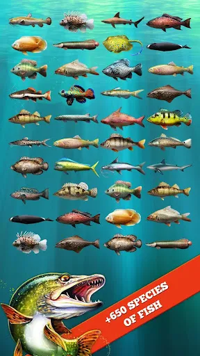 Let's Fish: Fishing Simulator | Games | XWorld