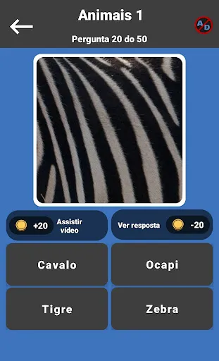 GuessPho Quiz jogo português | Jogos | XWorld