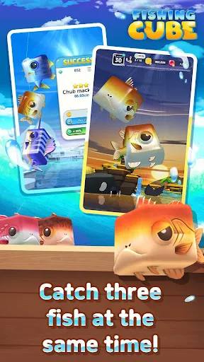 Fishing Cube | Permainan | XWorld