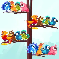 XWorld | Ordenar por color de pájaro