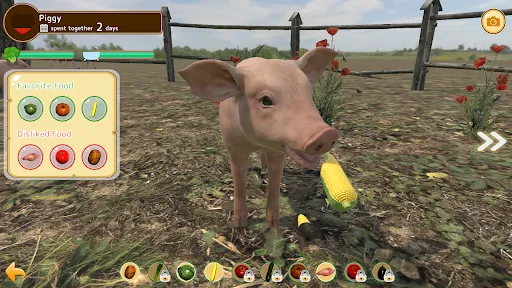 Piglet | Игры | XWorld