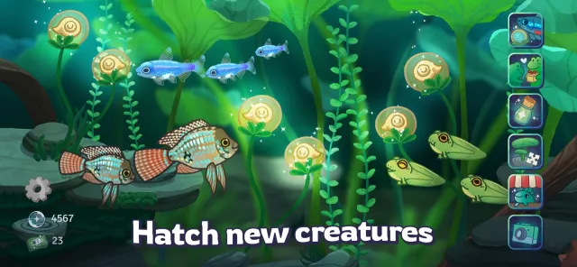 Pondlife — Relaxing Fish Game | 游戏 | XWorld