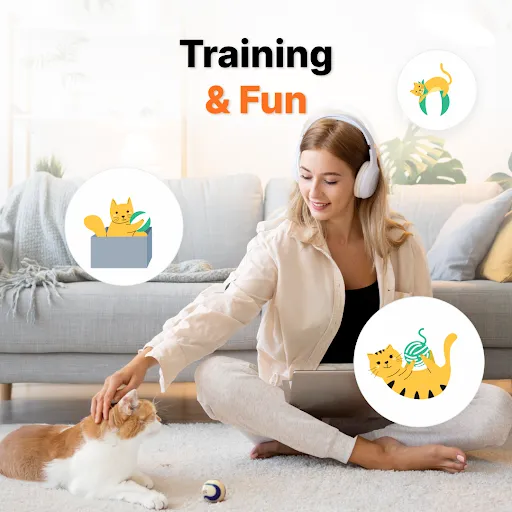 Human to Cat Translator | Games | XWorld