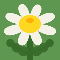 XWorld | Daisy's Flower Shop: Cozy Game