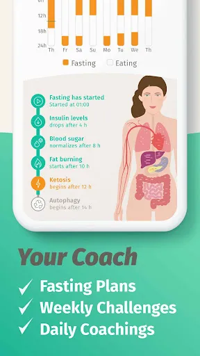 BodyFast: Intermittent Fasting | 游戏 | XWorld