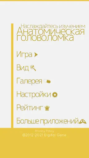 Анатомическая головоломка | Игры | XWorld