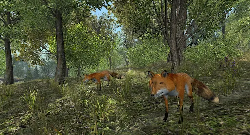 VR ZOO Safari Park Animal Game | Games | XWorld