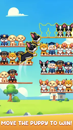 Dog Sort: Puppy Puzzle | Games | XWorld Dog Sort: Puppy Puzzle | Games | XWorld