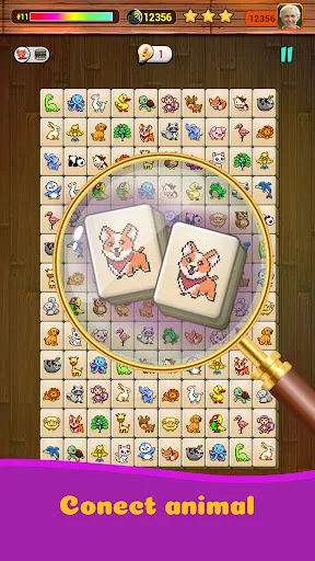 Onet X Connect Matched Animal | Games | XWorld