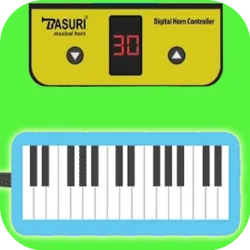 XWorld | Pianika Basuri Melodica