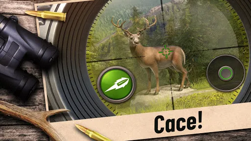 Hunting Clash: Caça de animais | Jogos | XWorld