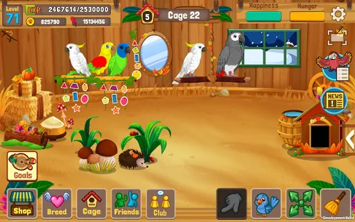 Bird Land: Pet Shop Bird Games | Permainan | XWorld