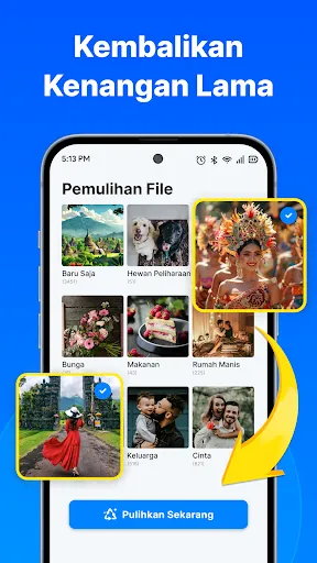 Pulihkan Foto & File | Permainan | XWorld