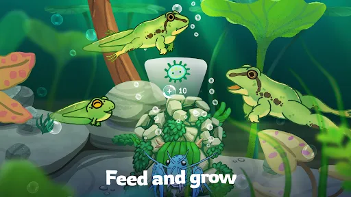 Pondlife — Fish, Frogs & More! | Games | XWorld Pondlife — Fish, Frogs & More! | Games | XWorld