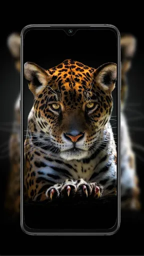 Cheetah Leopard Wallpaper | Игры | XWorld