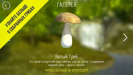 Реальный Грибник - Тихая охота | Игры | XWorld Реальный Грибник - Тихая охота | Игры | XWorld
