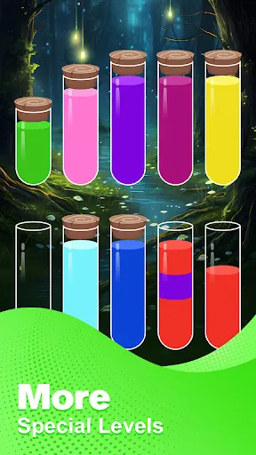 Water Sort Master | เกม | XWorld