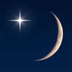 XWorld | Amora - Tình Duyên Tìm Bạn Đời