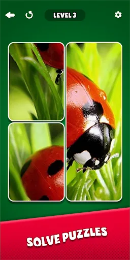 Solitaire Puzzle: Jigsaw Card | Игры | XWorld Solitaire Puzzle: Jigsaw Card | Игры | XWorld