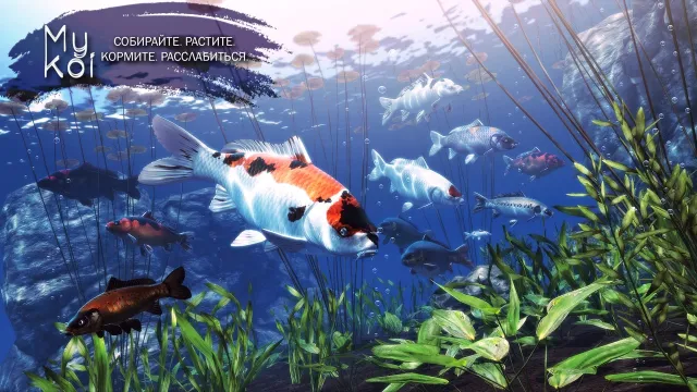 My Koi | Игры | XWorld