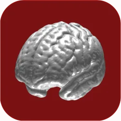 XWorld | N-Back Memory Training