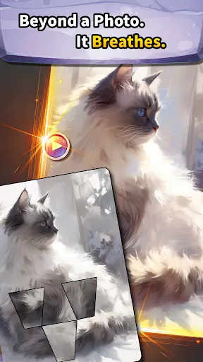 My Cat Momo | Games | XWorld