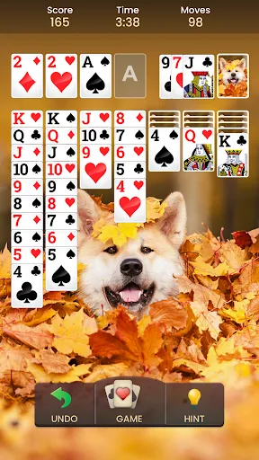 Solitaire - Classic Card Game | เกม | XWorld