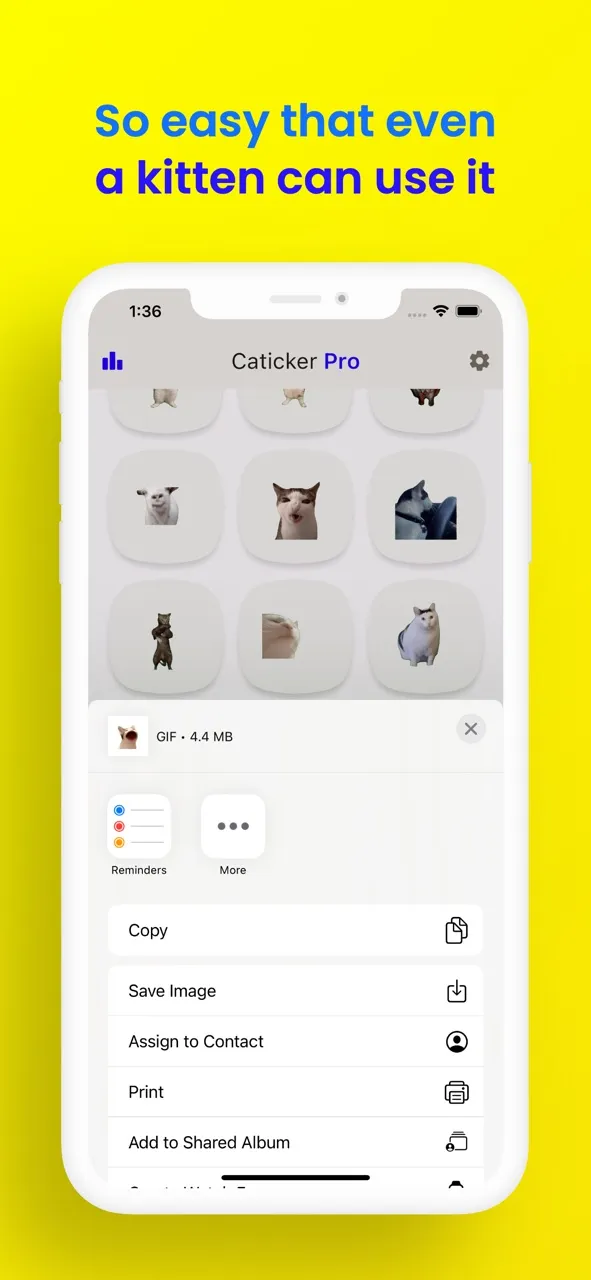 Cat Meme Stickers: Caticker | เกม | XWorld Cat Meme Stickers: Caticker | เกม | XWorld
