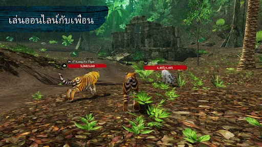 The Tiger | เกม | XWorld