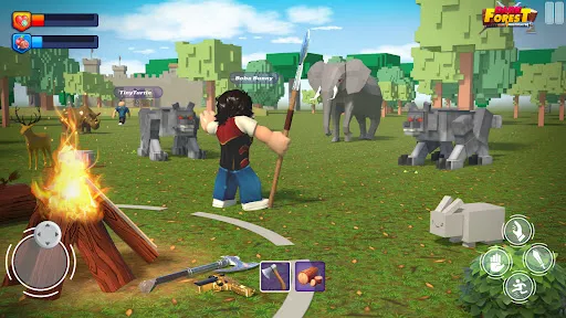 Dark Forest Multiplayer | Games | XWorld