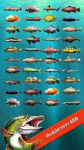 Let's Fish: เกมตกปลา | เกม | XWorld