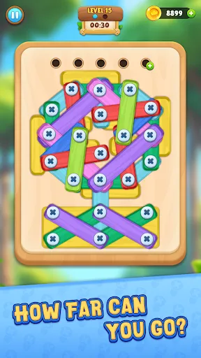 Wood Nuts And Bolts Puzzle | Games | XWorld Wood Nuts And Bolts Puzzle | Games | XWorld